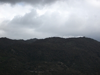 cantara gurne23122011 221